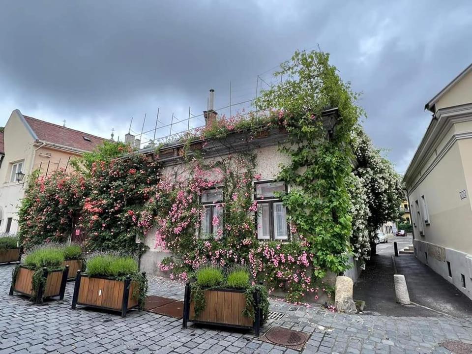 Downtown Romantic Székesfehérvár المظهر الخارجي الصورة